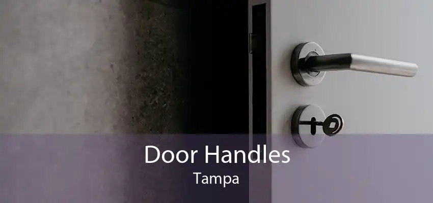 Door Handles Tampa