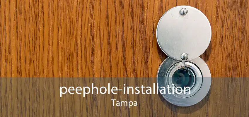 peephole-installation Tampa